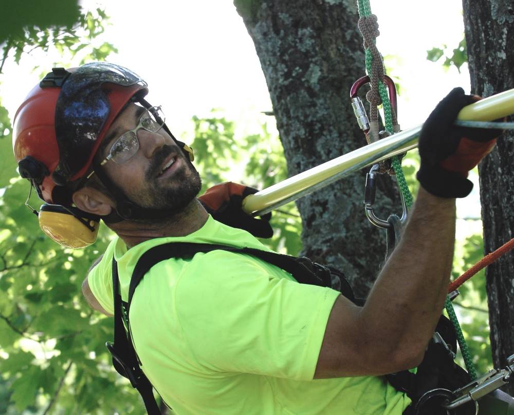 Arboriculture Sherbrooke Magog