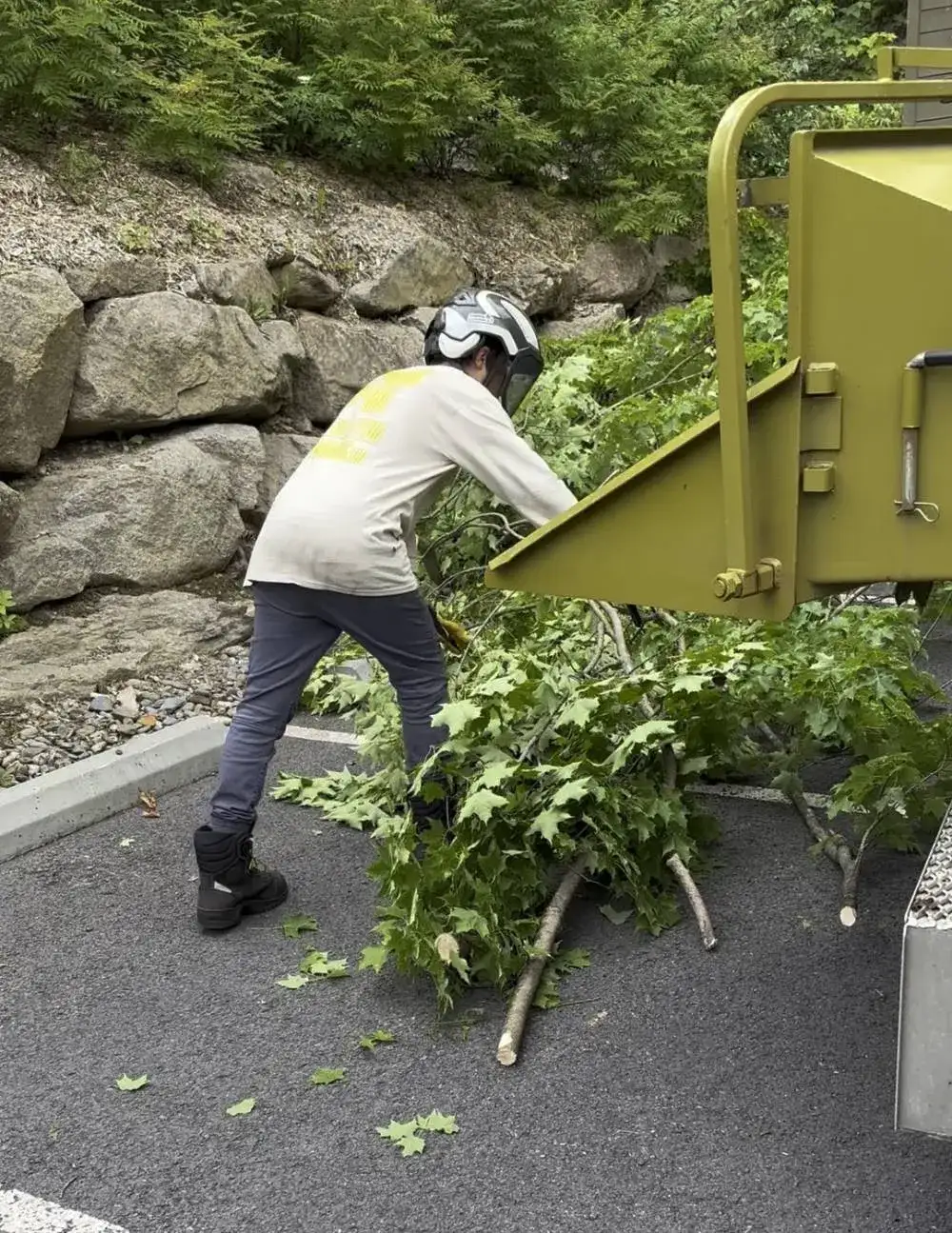 Wood chipping Sherbrooke Magog