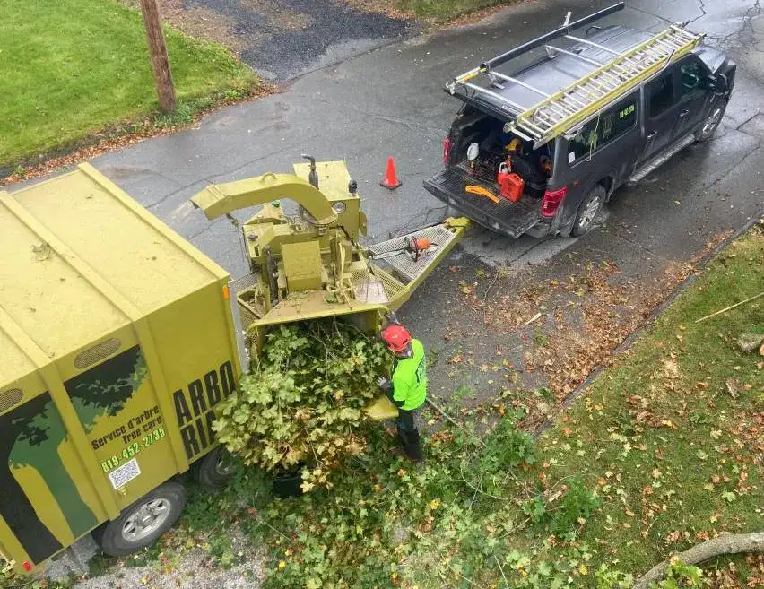 Wood chipping Sherbrooke Magog