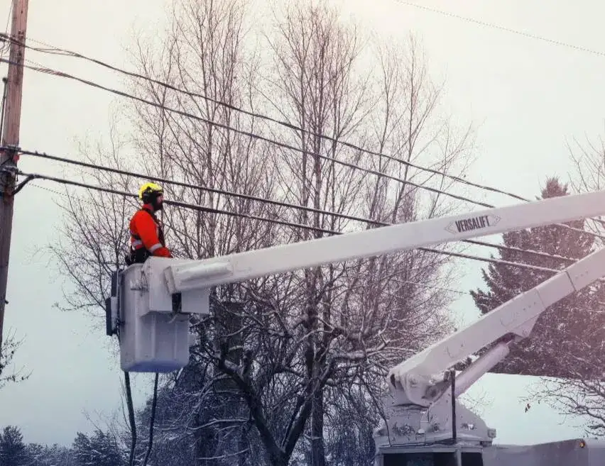 Tree trimming Estrie
