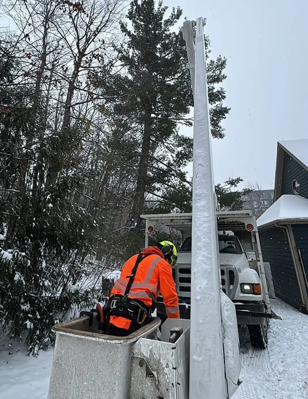 Tree trimming North Hatley